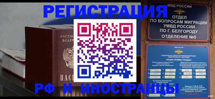 прописка 2025 в Чудово